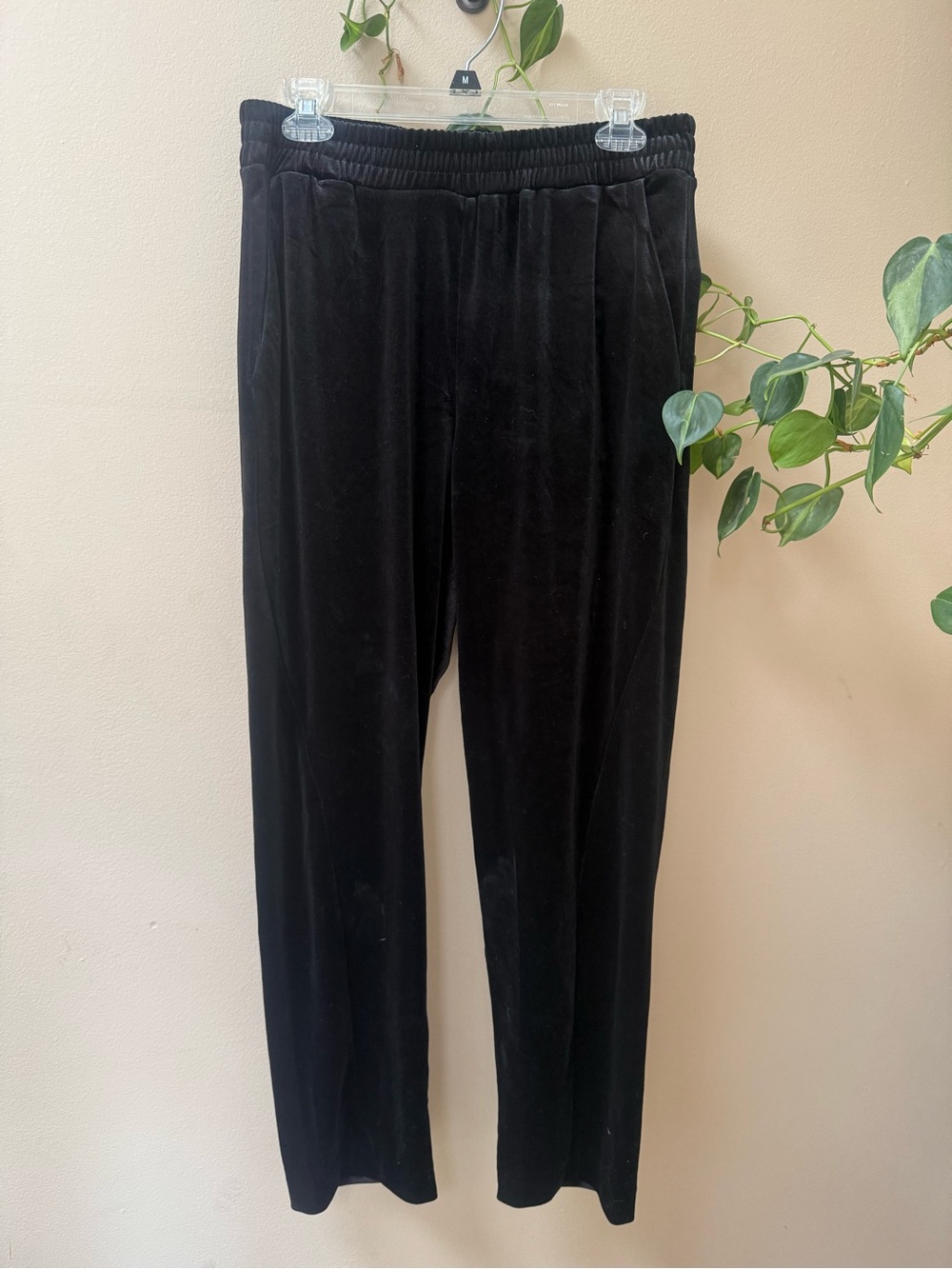 Stella Luce Black Velvet Pants